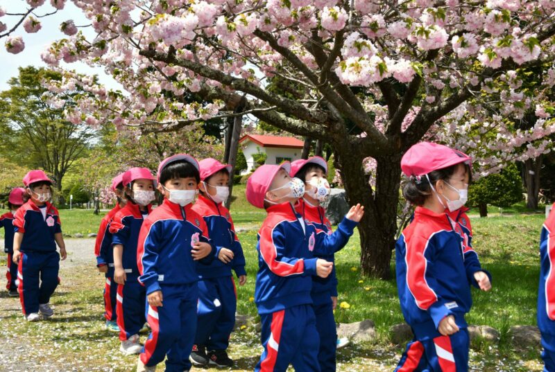 お花見会